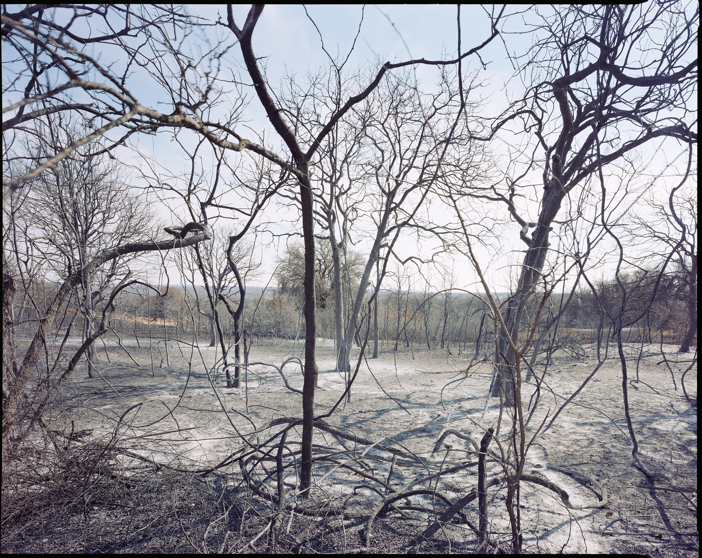 North Texas grassfire landscape view camera image
